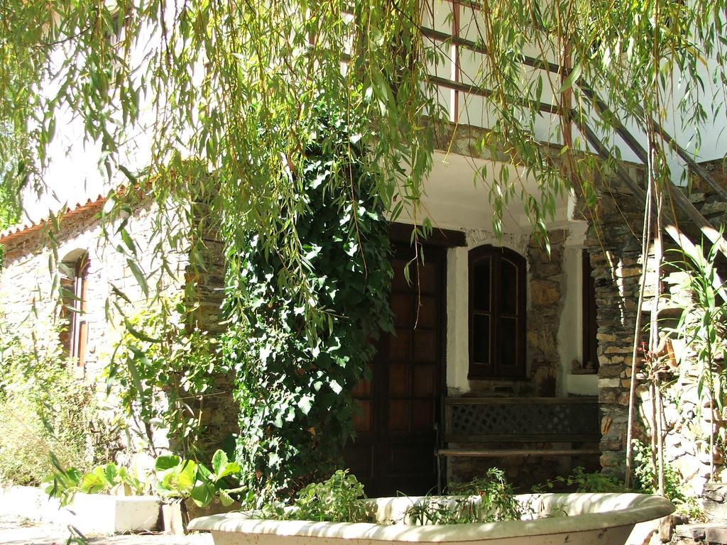 Chao Da Lousa Dornes Exterior photo