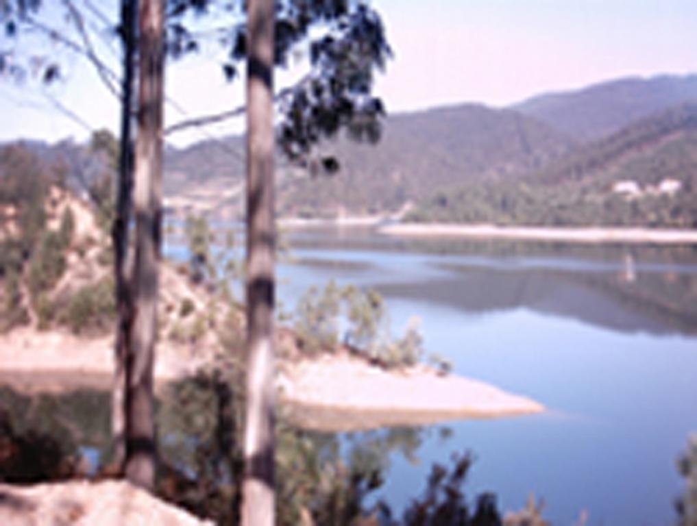 Chao Da Lousa Dornes Exterior photo