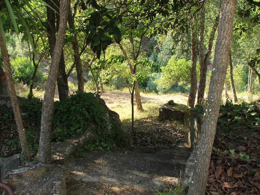 Chao Da Lousa Dornes Exterior photo